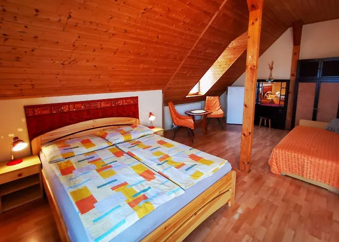 Huszar Vendeghaz Pensiune *